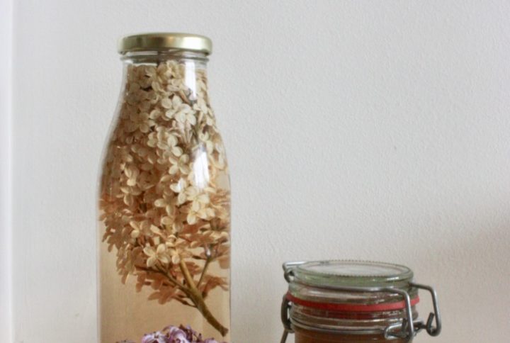 Gelée de fleur de Lilas