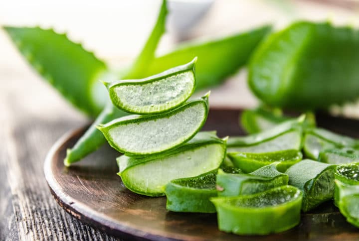 Aloe vera
