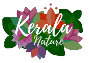 Kerala Nature