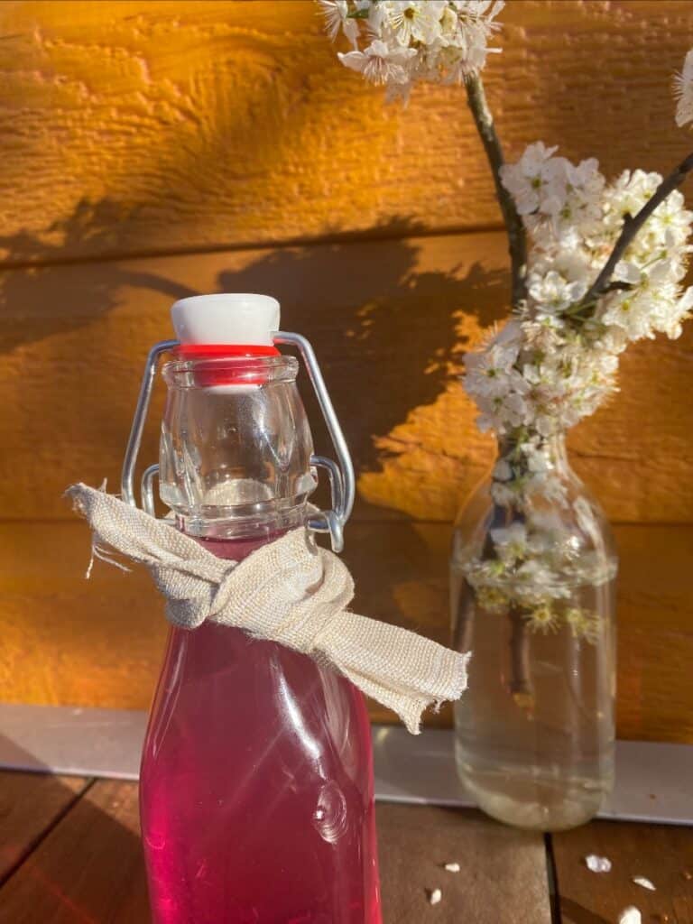 recette du sirop de violette