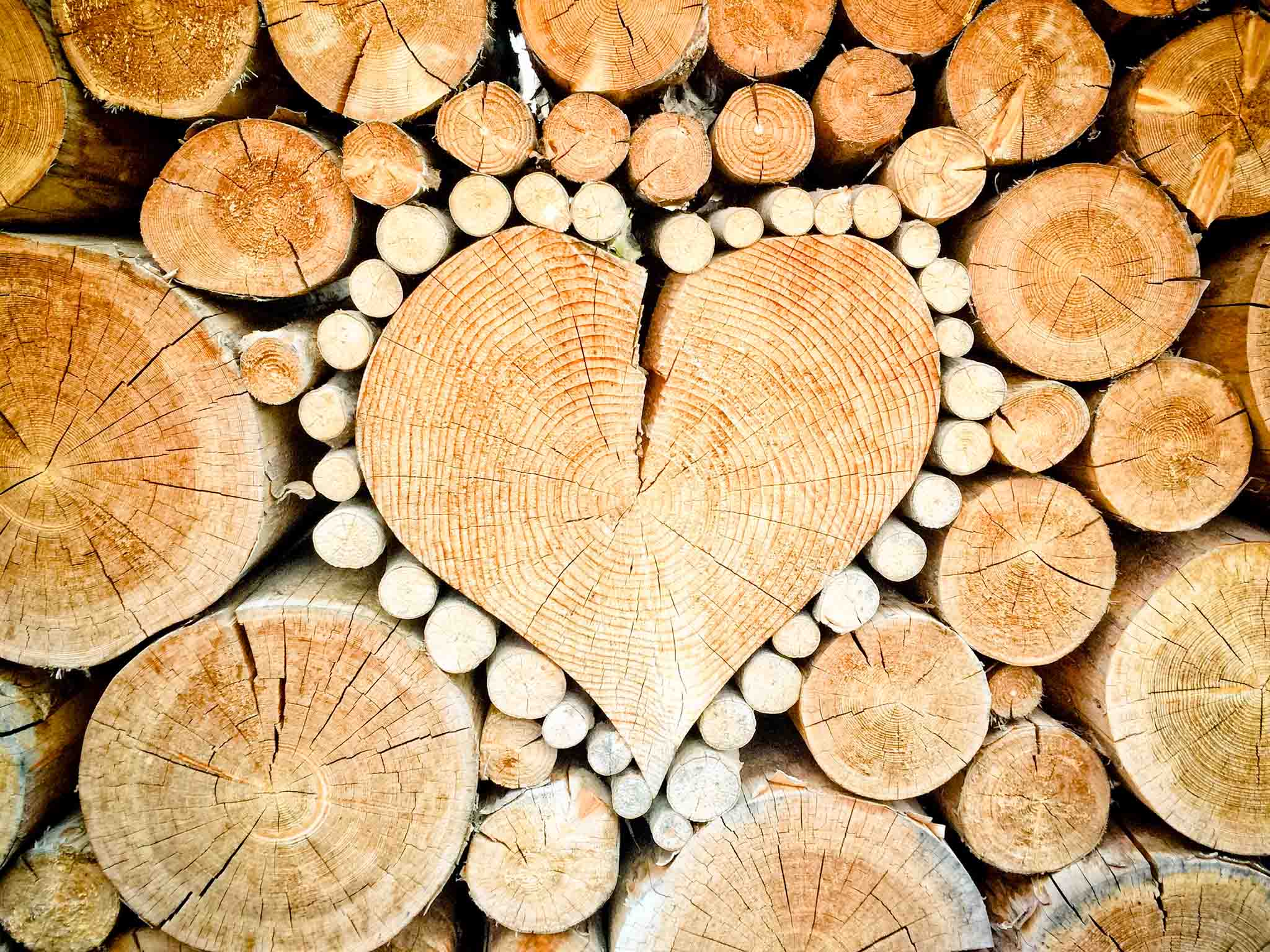 Rondin de bois en forme de coeur.