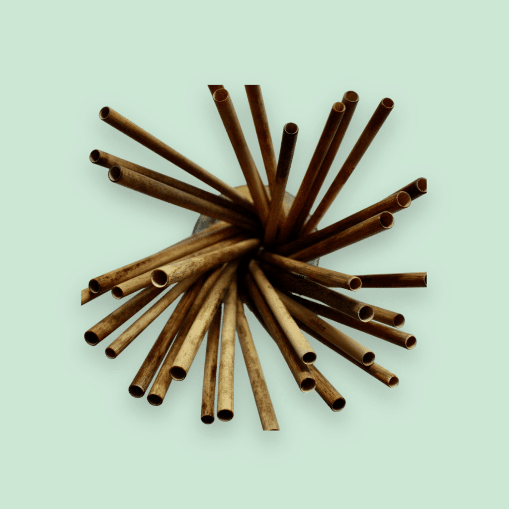 Paille réutilisable en roseau