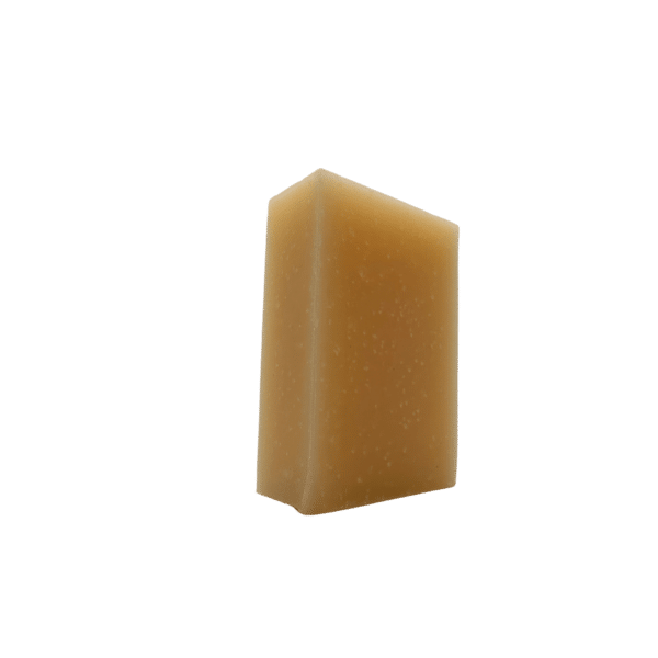 Shampoing Menthe & Eucalyptus Naturel 100% Solide – Image 3