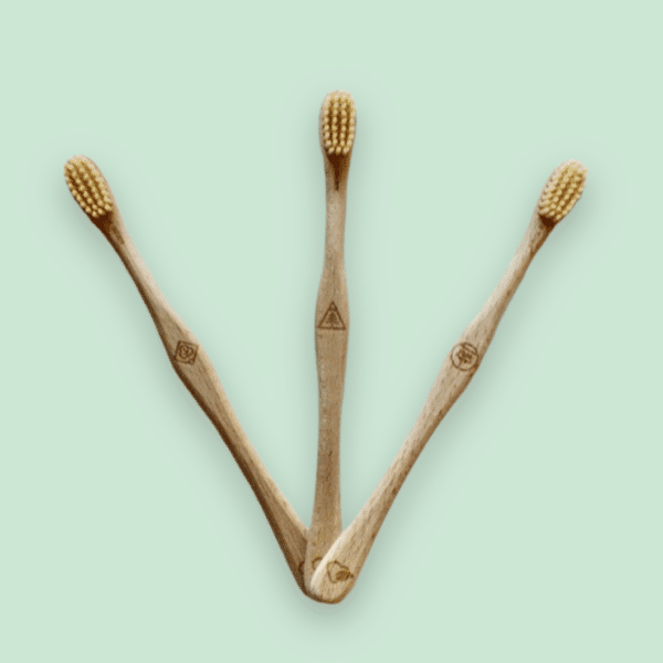 Brosse à dents en hêtre suisse Adultes Ricine MEDIUM