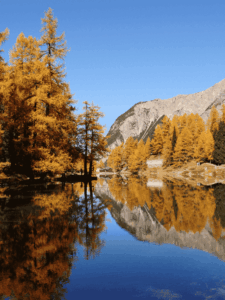 Que Faire en Suisse Romande ?