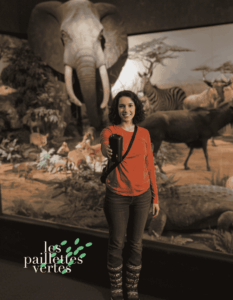 TreeMug ToGo-museum