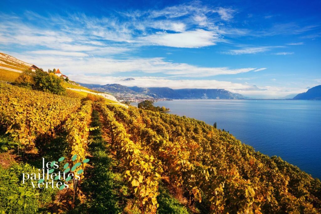 de Lavaux (UNESCO)